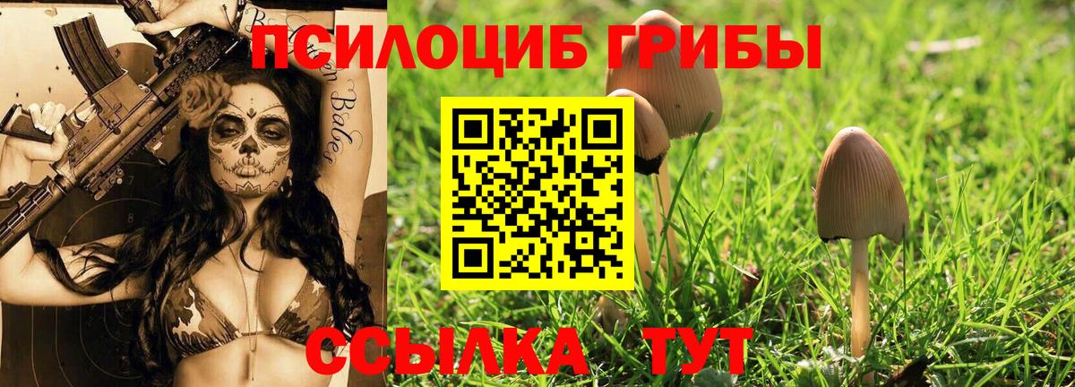 Псилоцибиновые грибы ЛСД  Галлюциногенные грибы Magic Shrooms  Шарыпово  Вход с VPN 